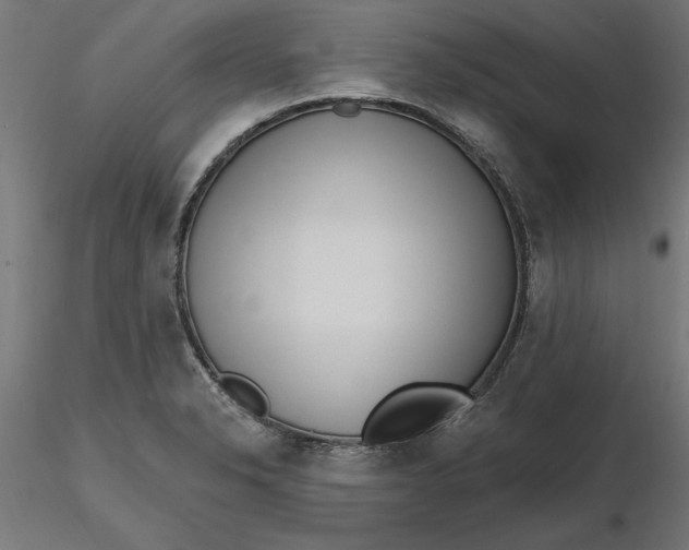 X0000116651326200912291608