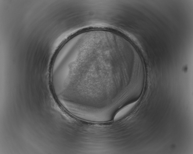 X0000116651327200912291608
