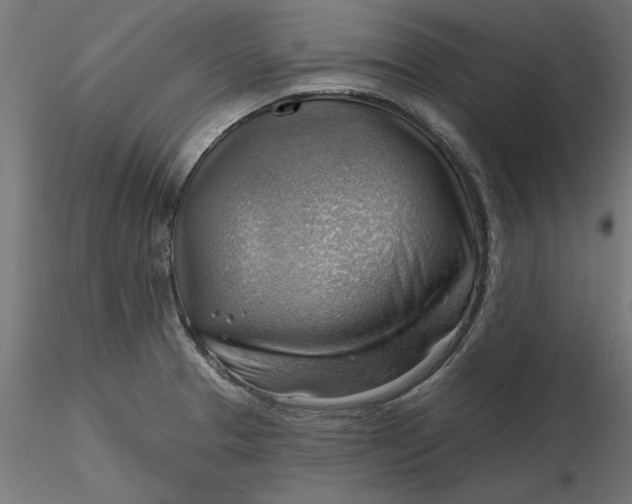 X0000116651329200912291608