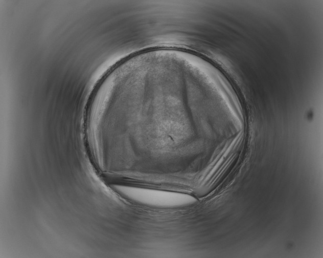 X0000116651331200912291608