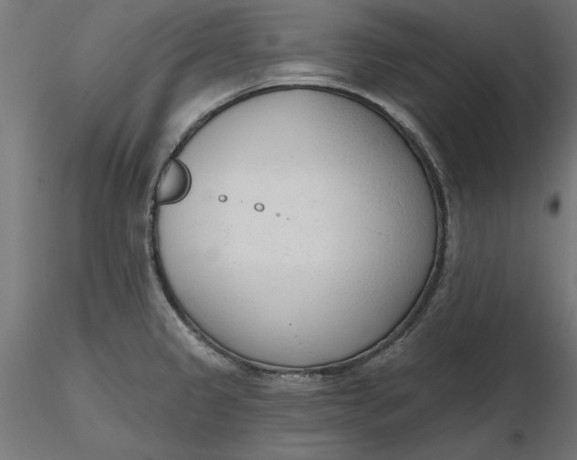 X0000116651333200912291608