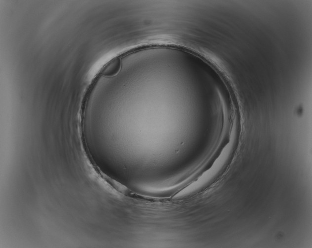 X0000116651334200912291608