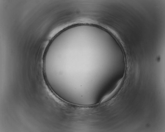 X0000116651335200912291608