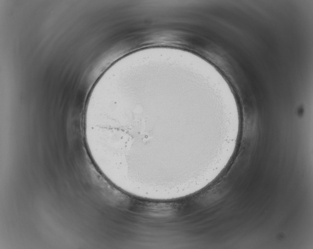 X0000116651338200912291608