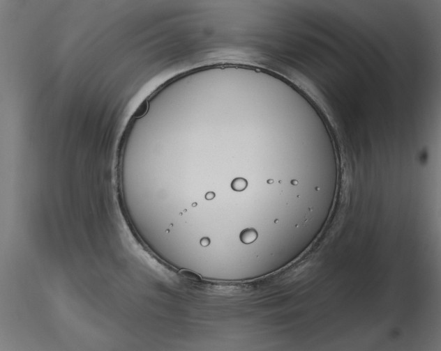 X0000116651339200912291608