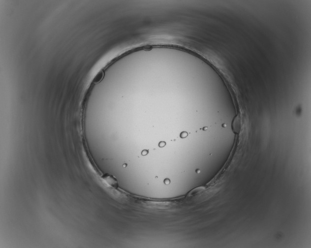 X0000116651342200912291608
