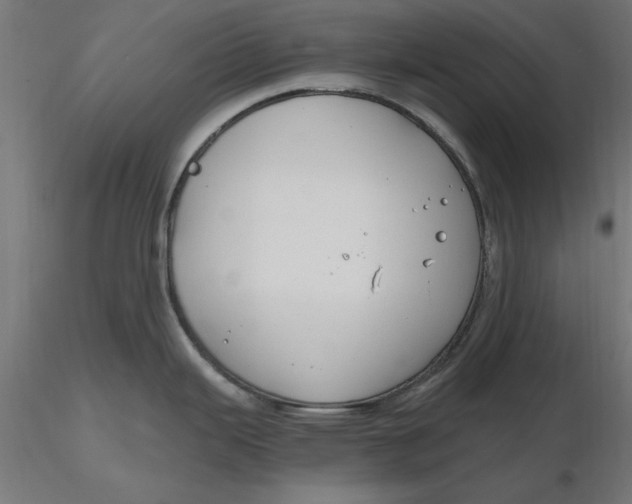 X0000116651343200912291608