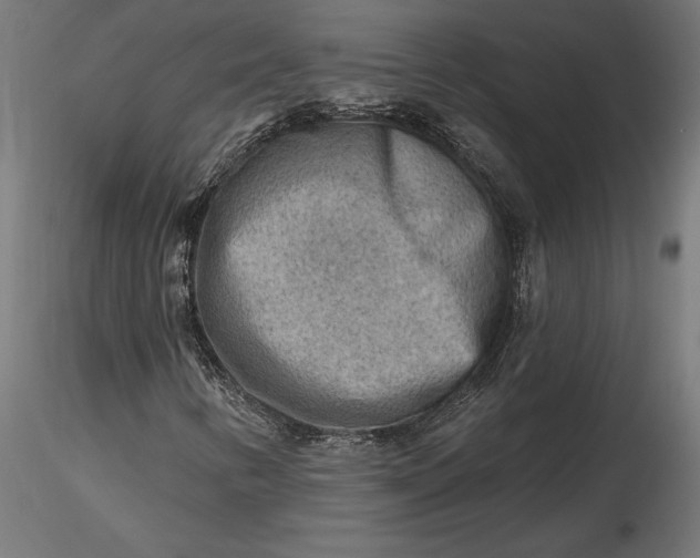 X0000116651346200912291607