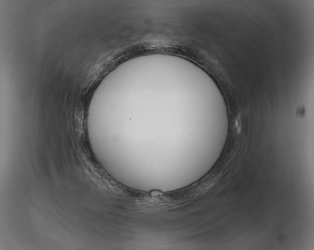 X0000116651348200912291607