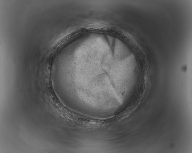 X0000116651350200912291607