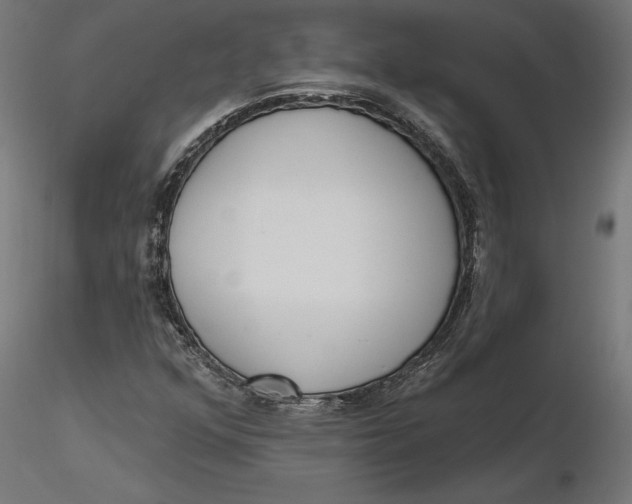 X0000116651352200912291607