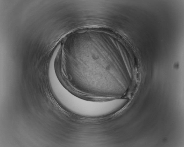 X0000116651353200912291607