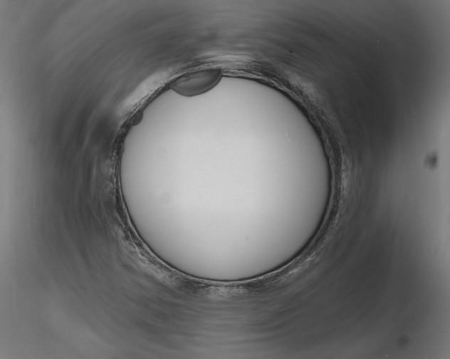 X0000116651354200912291607