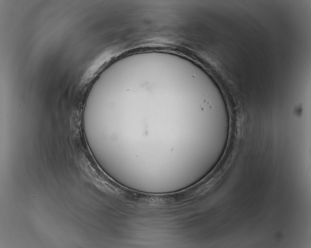 X0000116651355200912291607