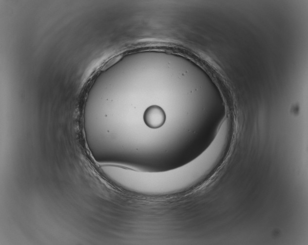 X0000116651357200912291607