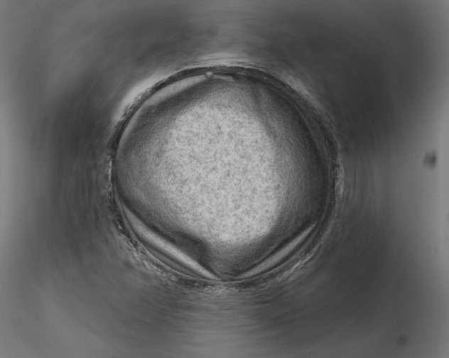 X0000116651358200912291607
