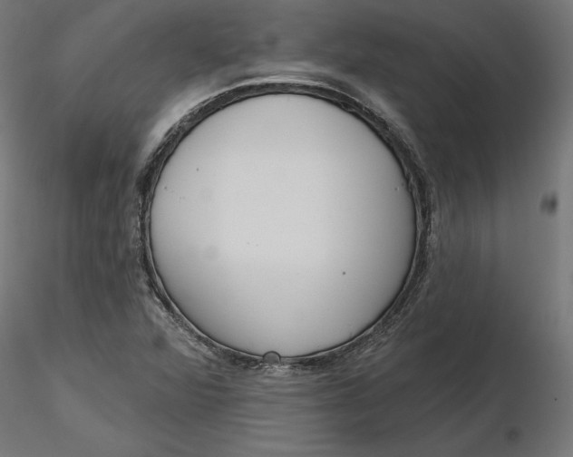 X0000116651360200912291607