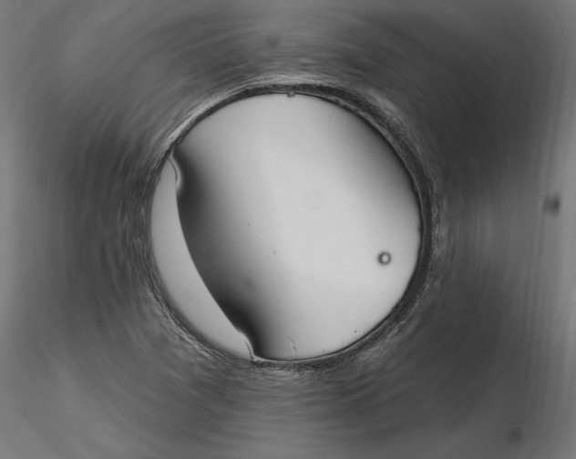 X0000116651361200912291607