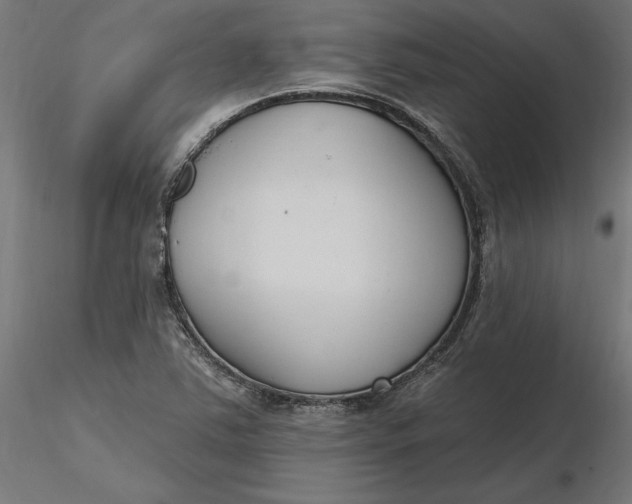 X0000116651363200912291607