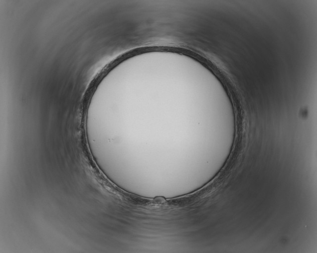 X0000116651364200912291607