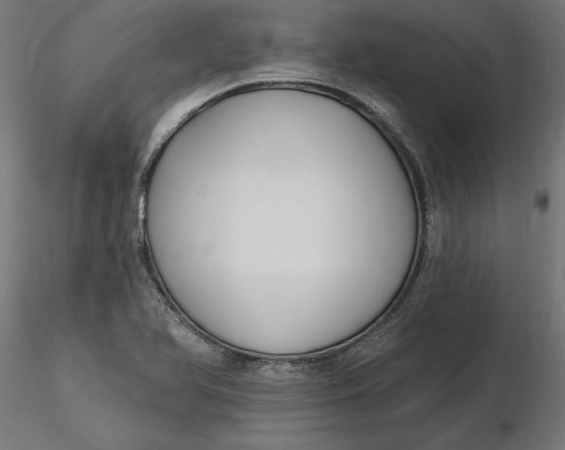 X0000116651366200912291607