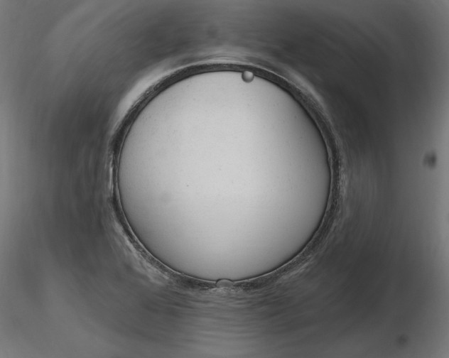 X0000116651368200912291607