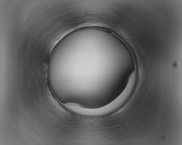X0000116651369200912291607