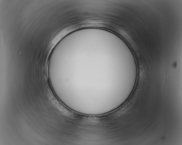 X0000116651370200912291607