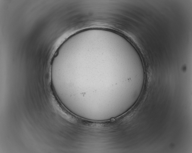X0000116651371200912291607