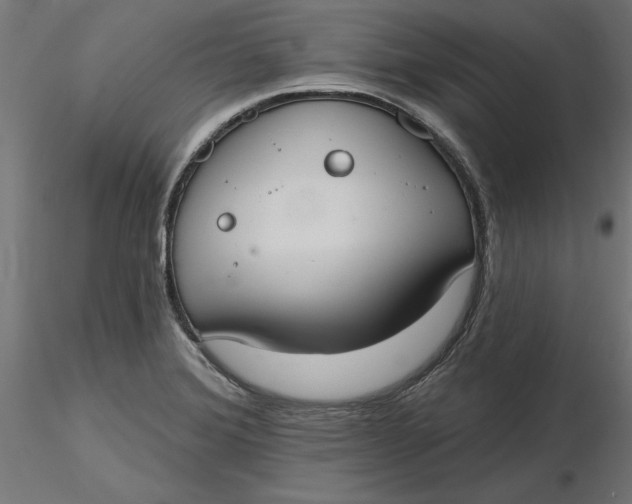 X0000116651372200912291607