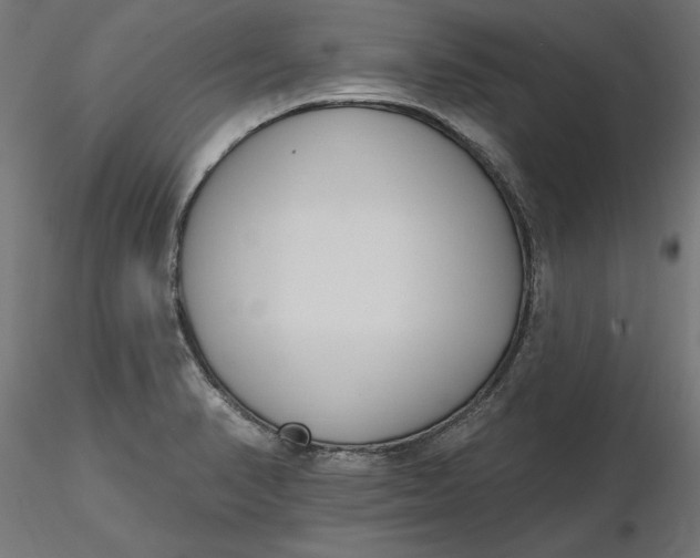 X0000116651374200912291607