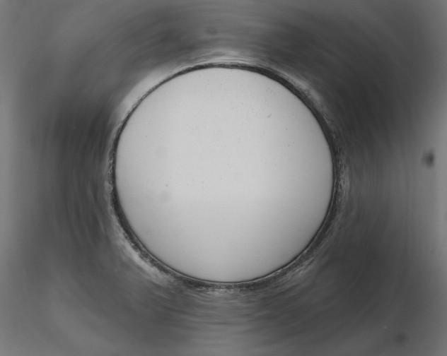 X0000116651375200912291607