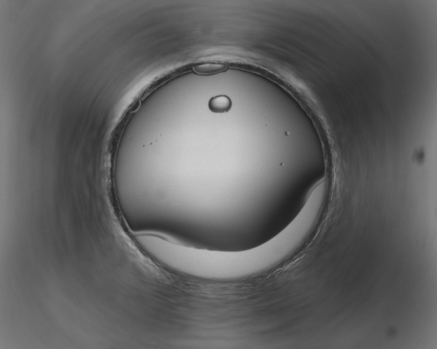 X0000116651376200912291607