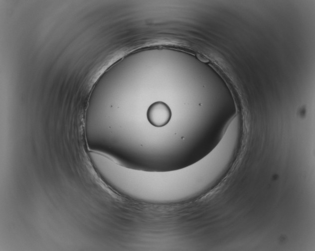 X0000116651377200912291607