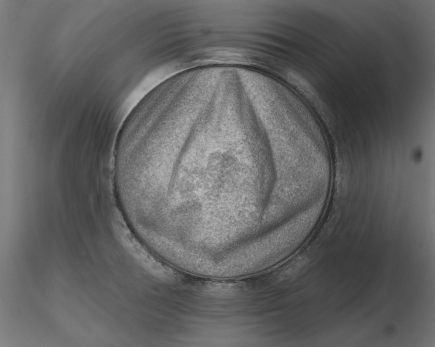 X0000116651378200912291607