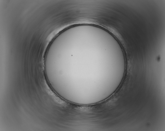X0000116651380200912291607