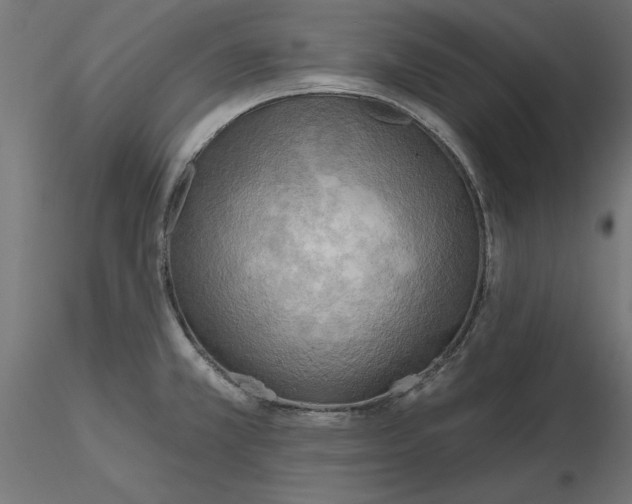 X0000116651381200912291607