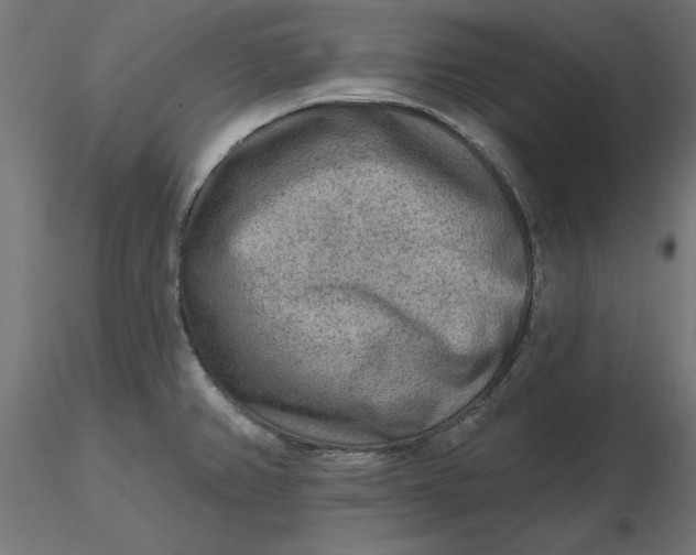 X0000116651382200912291607
