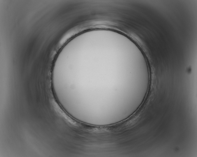 X0000116651384200912291607