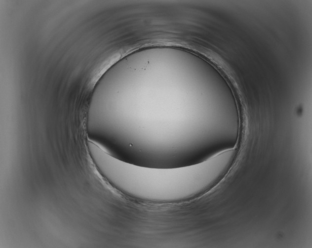 X0000116651385200912291607