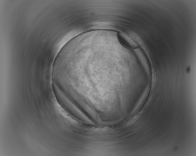 X0000116651386200912291607