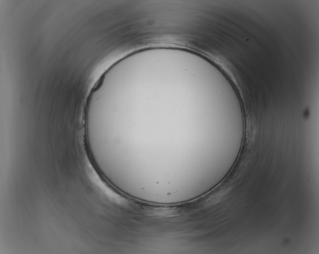 X0000116651387200912291607