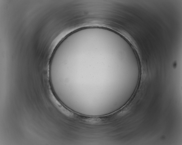 X0000116651388200912291607