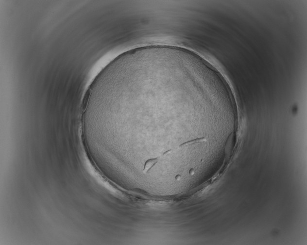X0000116651389200912291607