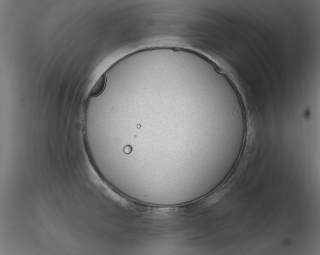 X0000116651390200912291607