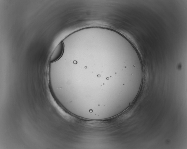 X0000116651391200912291607