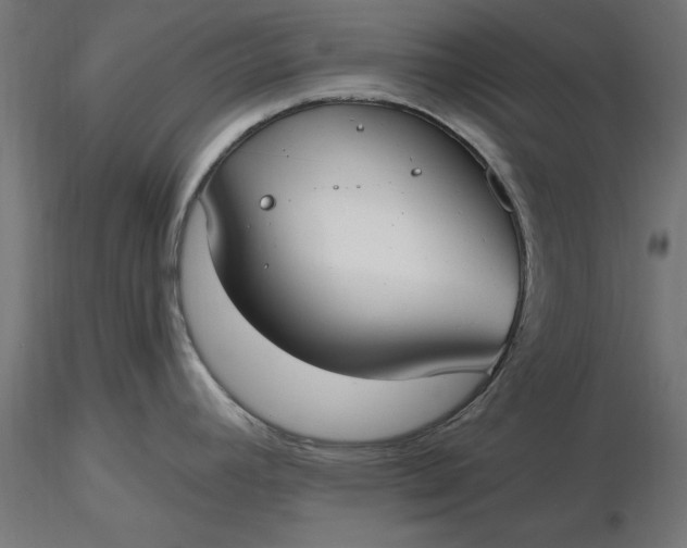 X0000116651392200912291607