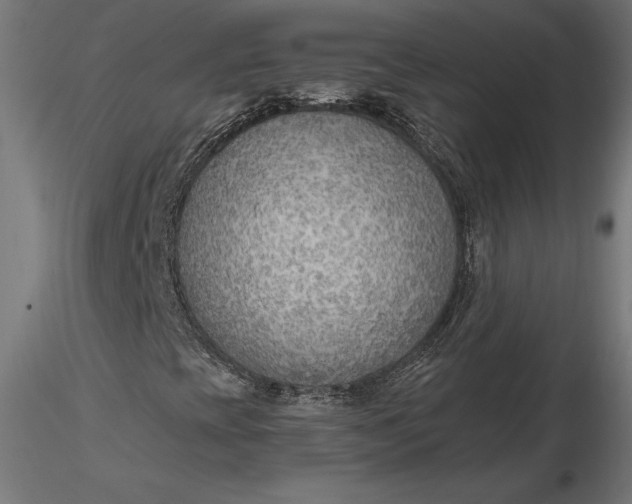 X0000116651393200912291606