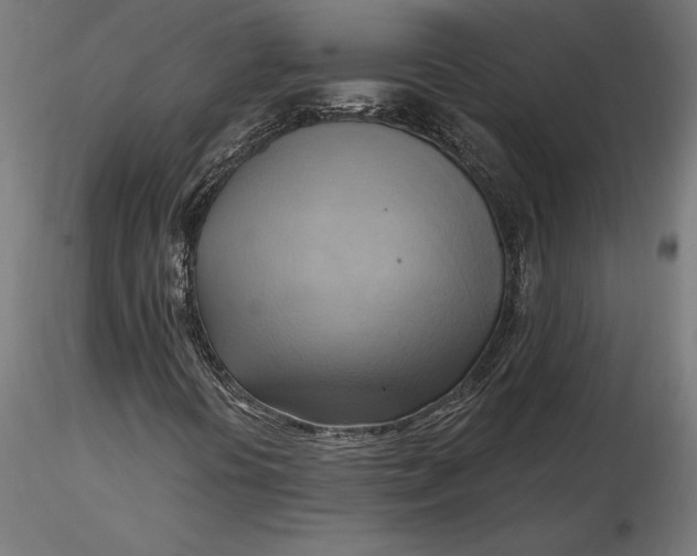 X0000116651394200912291606