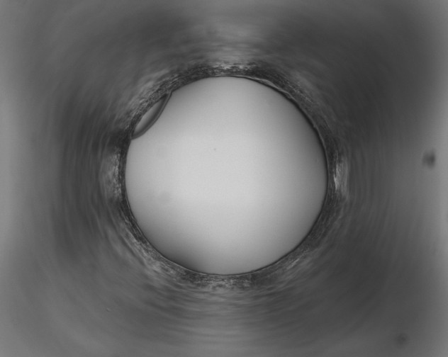 X0000116651396200912291606
